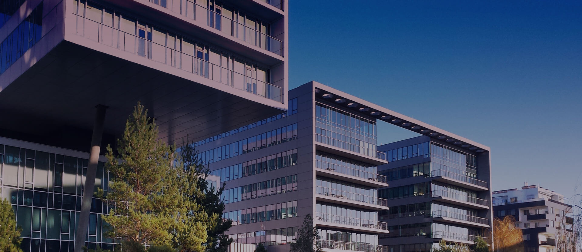 Smart film Glass official Indonesia